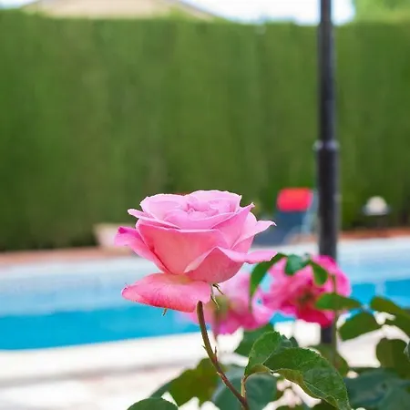New. Luxury C&c. Jardin, Piscina Y Barbacoa